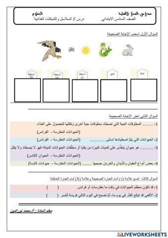 السلاسل والشبكات الغذائية