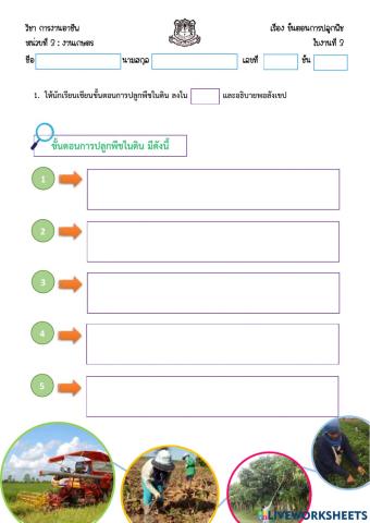 ขั้นตอนการปลูกพืชในดิน