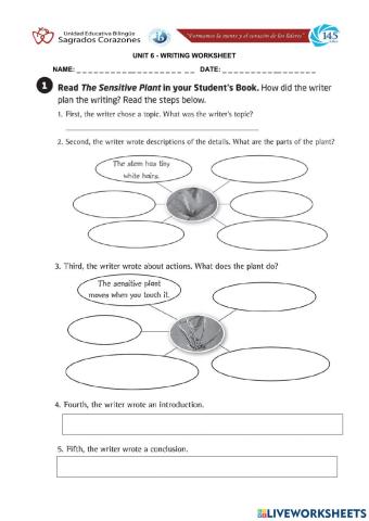 Descriptive Writing Introduction