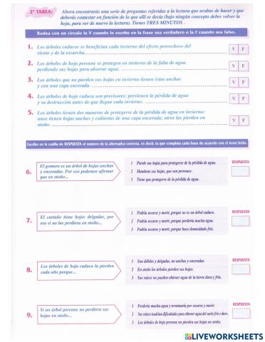 Comprension lectrora e6