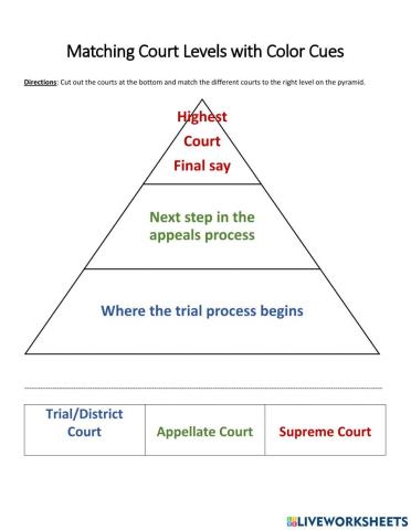 Unit 5B Matching Court Levels with Color Cues