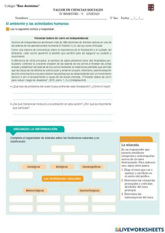 Situación de vulnerabilidad