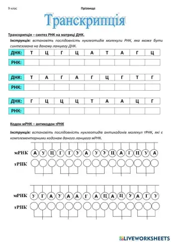 Транскрипція