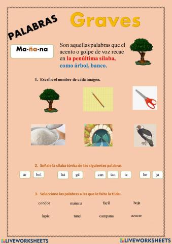Palabras graves