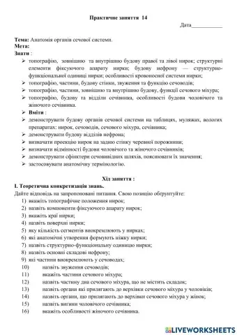 Анатомія сечової системи