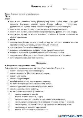 Анатомія сечової системи