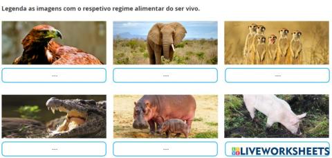 Revestimento dos animais