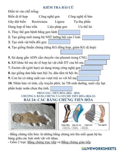 Bài 24,Sinh12,Các bằng chứng tiến hóa