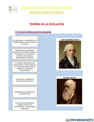 Teoria evolucionista
