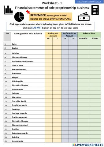 Financial statements of sole proprietorship business