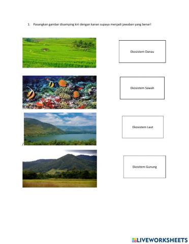 Macam macam ekosistem