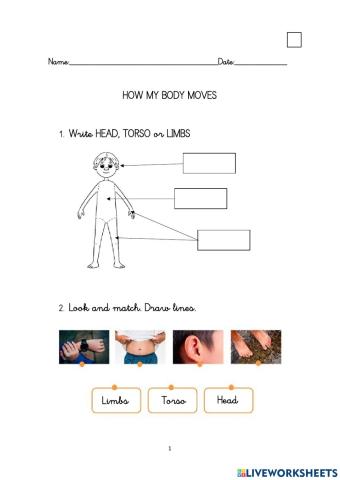 How my body moves