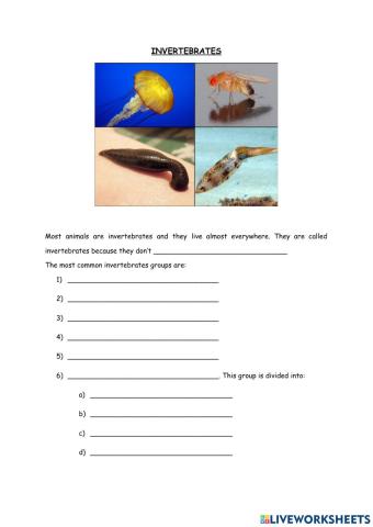 Invertebrates