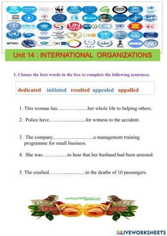 Unit 14 : INTERNATIONAL  ORGANIZATIONS- Reading