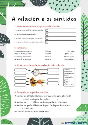 A Relación e os Sentidos