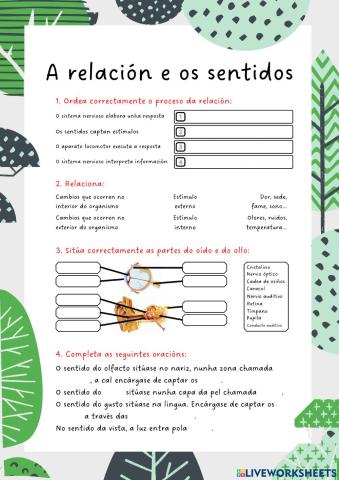 A Relación e os Sentidos