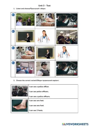 Unit 3 Test - Professions