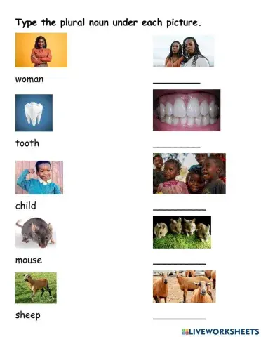 Irregular Plural Nouns