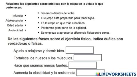 Hábitos de salud y etapas de la vida