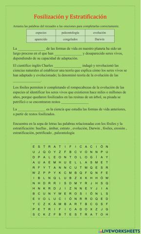 Fosilización y Estratificación