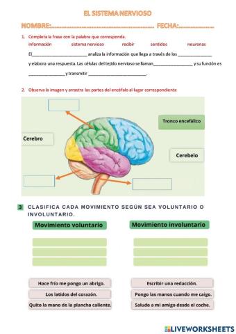 Sistema nervioso y endócrino