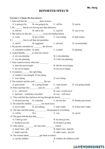 Exercise - reported speech