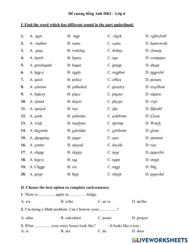 Grade 6 Term I Kim Giang - Part 1