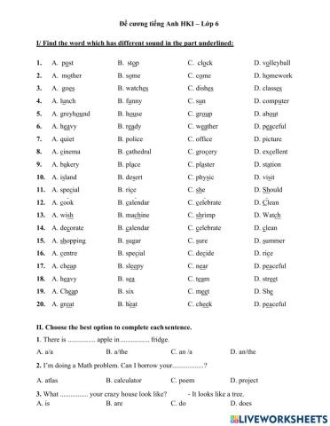 Grade 6 Term I Kim Giang - Part 1