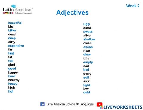Vocabulary w2