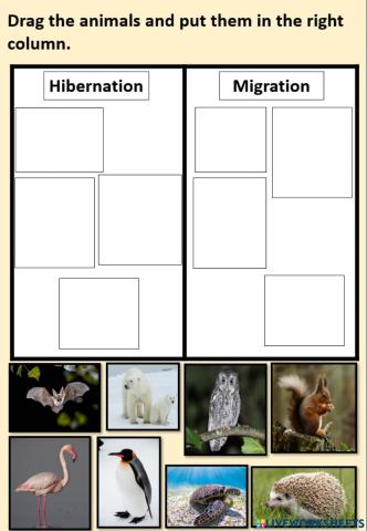 Hibernation and migration