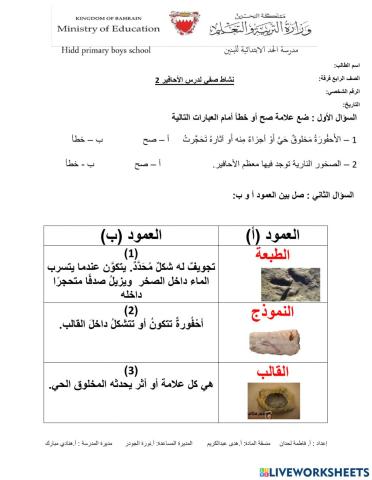 الأحافير الجزء الثاني