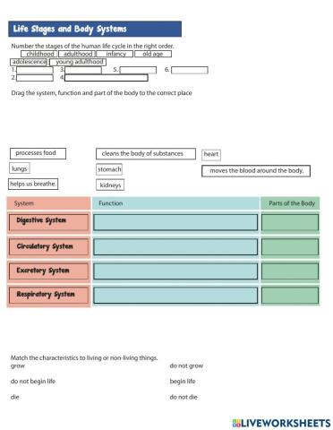 Body Systems and Life Stages