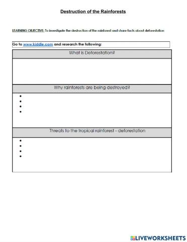 Destruction of the rainforests
