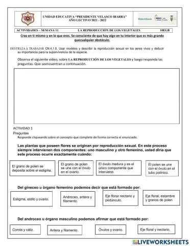 La reproducción de los vegetales