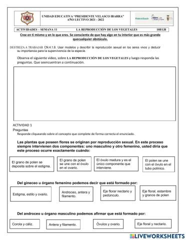 La reproducción de los vegetales