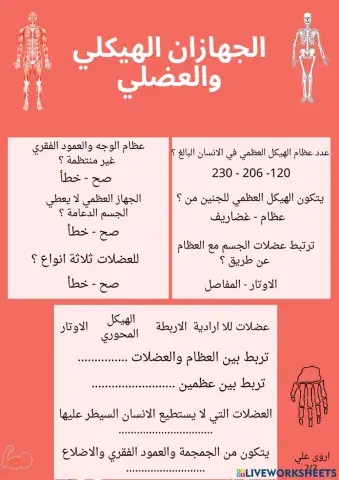 الجهازان الهيكلي والعضلي