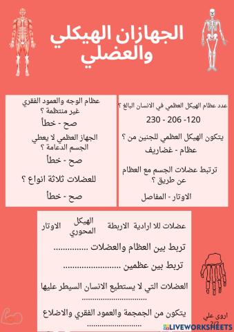 الجهازان الهيكلي والعضلي