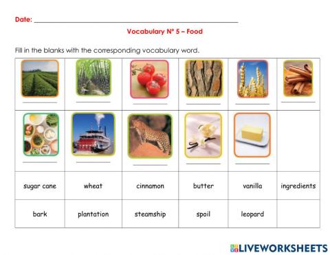 Food Vocabulary