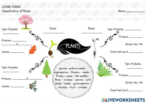 Plant Classification Mind Map