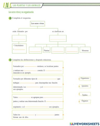 Los seres vivos y su organización