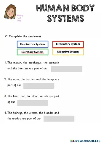 Reading and complete human body systems