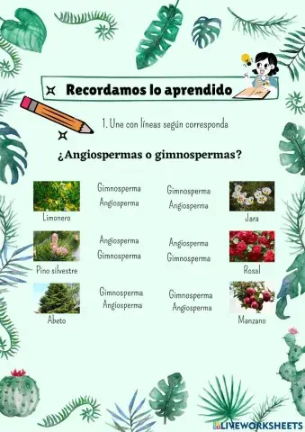 Clasificación de las plantas