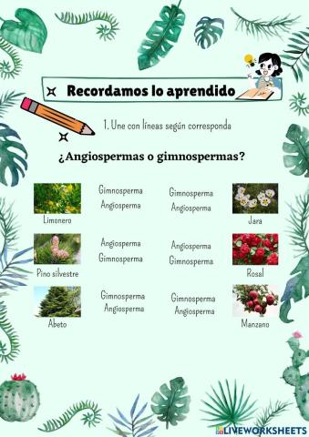 Clasificación de las plantas