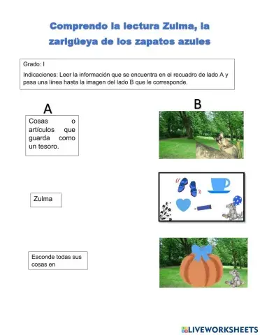 Actividad: Pareo-Comprendo la lectura Zulma, la  zarigüeya de los zapatos azules