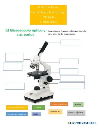 Partes del microscopio
