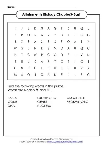 Cells and DNA Vocabulary Word Search