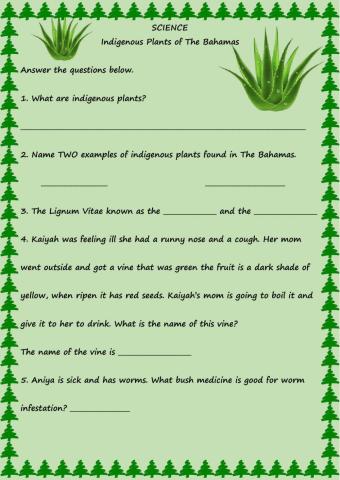 Indigenous Flowering Plants in The Bahamas