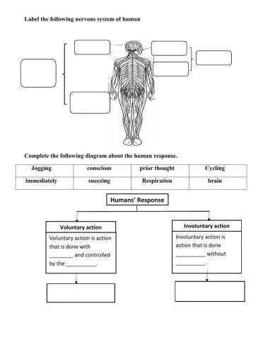Stimuli and responses