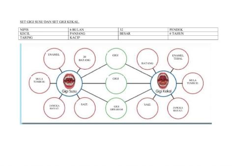 Set gigi susu dan set gigi kekal