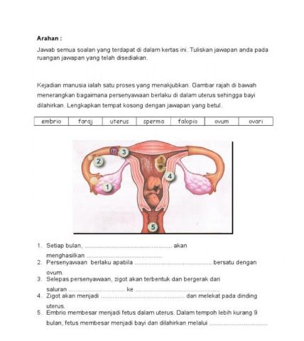 Proses Kejadian Manusia